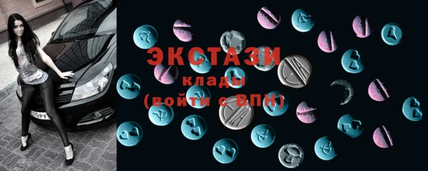 гидра Вязьма