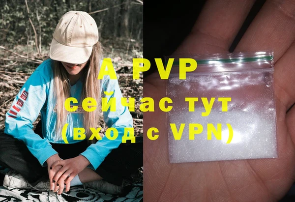 дживик Вяземский