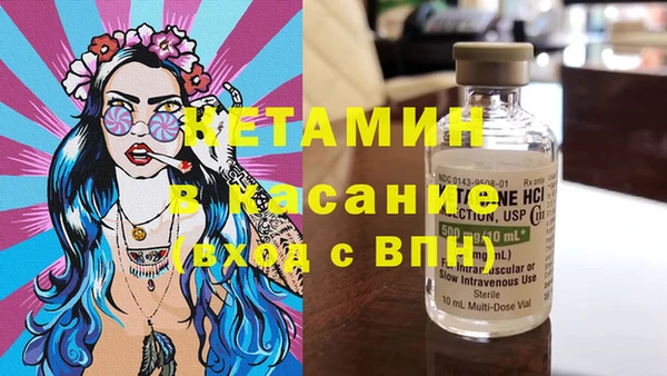 гидра Вязьма