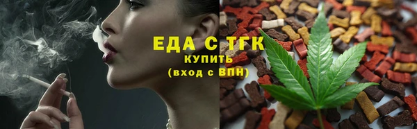 гидра Вязьма
