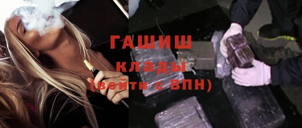 гидра Вязьма
