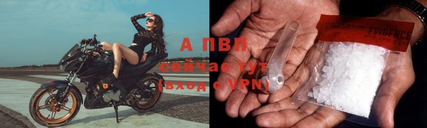 гидра Вязьма