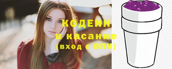 гидра Вязьма