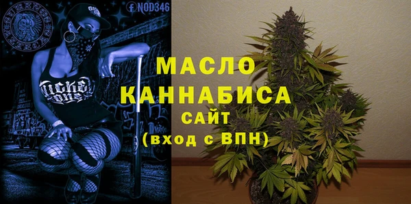 гидра Вязьма