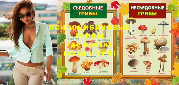 гидра Вязьма