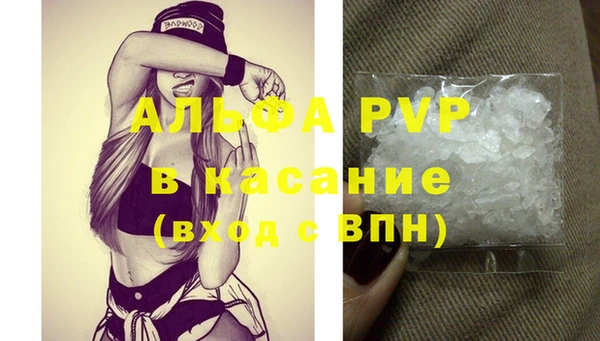 дживик Вяземский