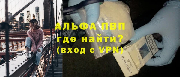 гидра Вязьма