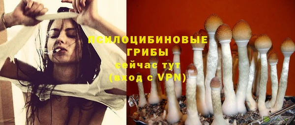 дживик Вяземский