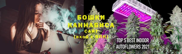 дживик Вяземский