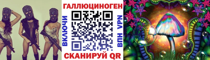 Купить где Красный Холм Галлюциногенные грибы GOLDEN TEACHER